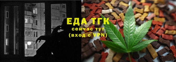 индика Арсеньев