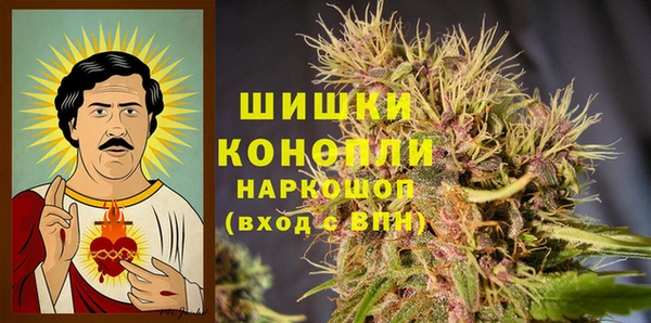 индика Арсеньев