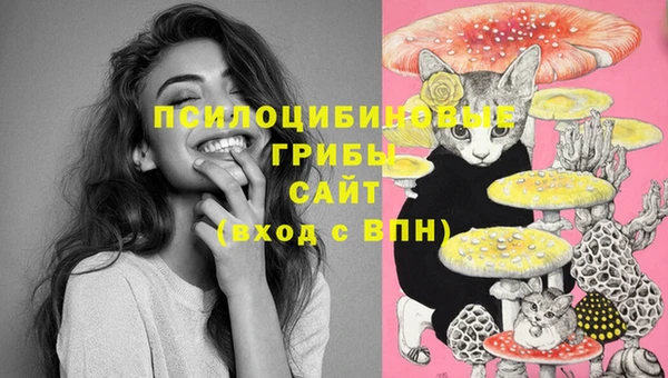 кокс Аркадак