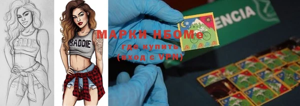 индика Арсеньев