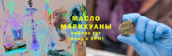 индика Арсеньев