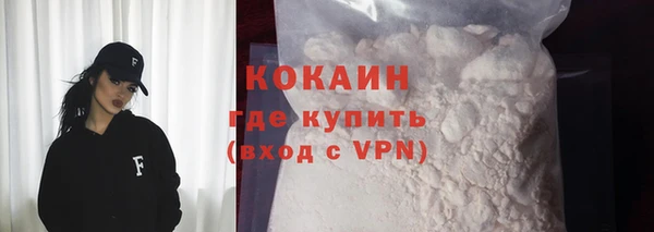 индика Арсеньев