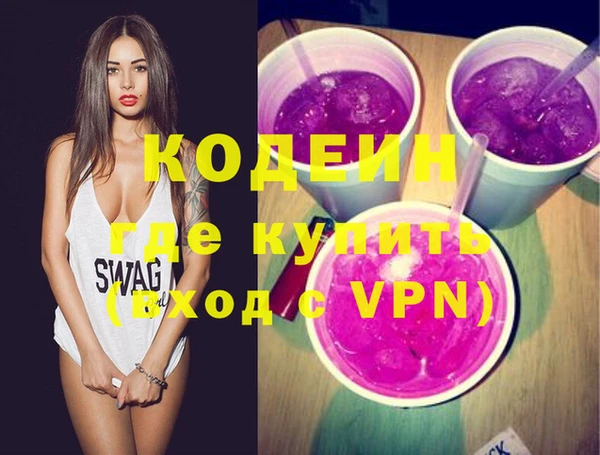 индика Арсеньев