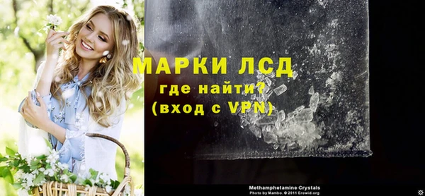 индика Арсеньев
