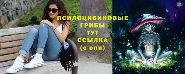 индика Арсеньев