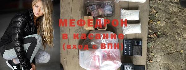 индика Арсеньев