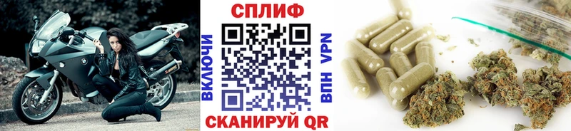 Конопля план Полярный